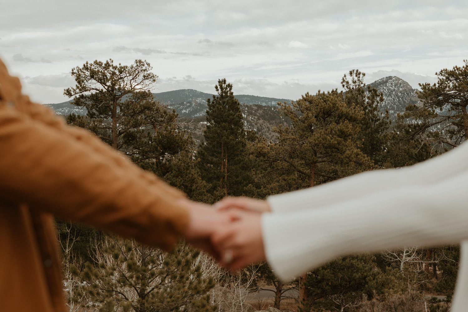 The Wedding Website of Sadie Quast and Collin Pautsch