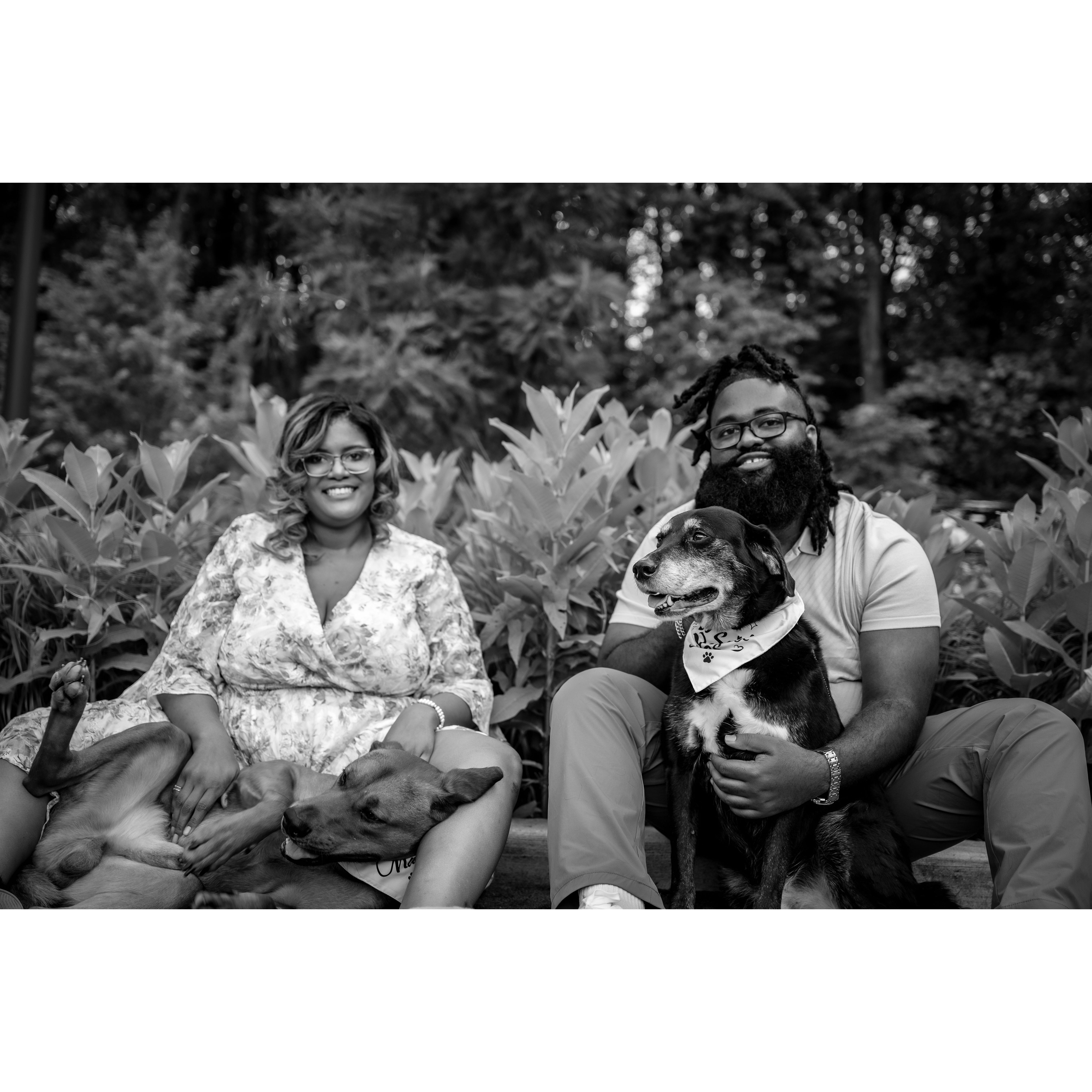 Jin702 Photography - Engagement Shoot at Brookside Gardens - Wheaton, MD (05/23/25)