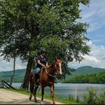 Horseback riding