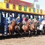 Sunland Park Racetrack & Casino