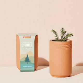 Terracotta Grow Kit