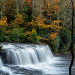 DuPont State Recreational Forest