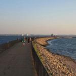 Castle Island Walking Trail