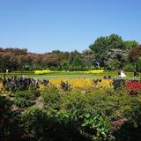 The Dallas Arboretum and Botanical Garden