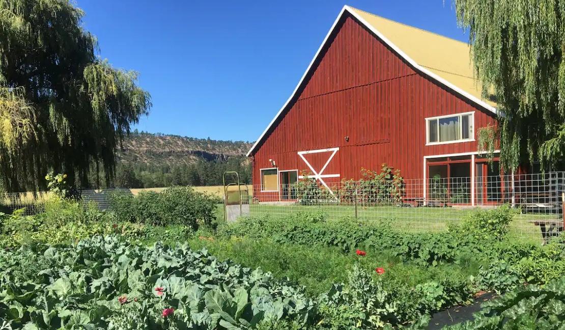 The Wedding Website of Skye Hart and Danny Flynn