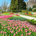 Atlanta Botanical Garden