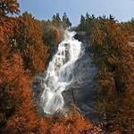 Shannon Falls Viewpoint