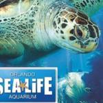 SEA LIFE Orlando Aquarium