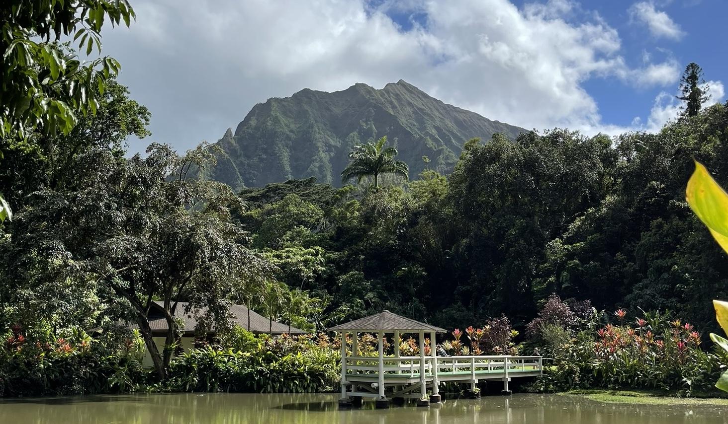 The Wedding Website of Timothy O’Connell and Wendellyn Kaiawe