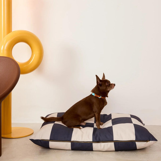 The Fritz Bed
