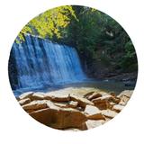 Old Mill Park