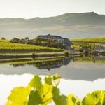 Creation Wine Estate