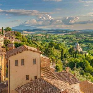 Vineyard Tour & Wine Tasting in Tuscany