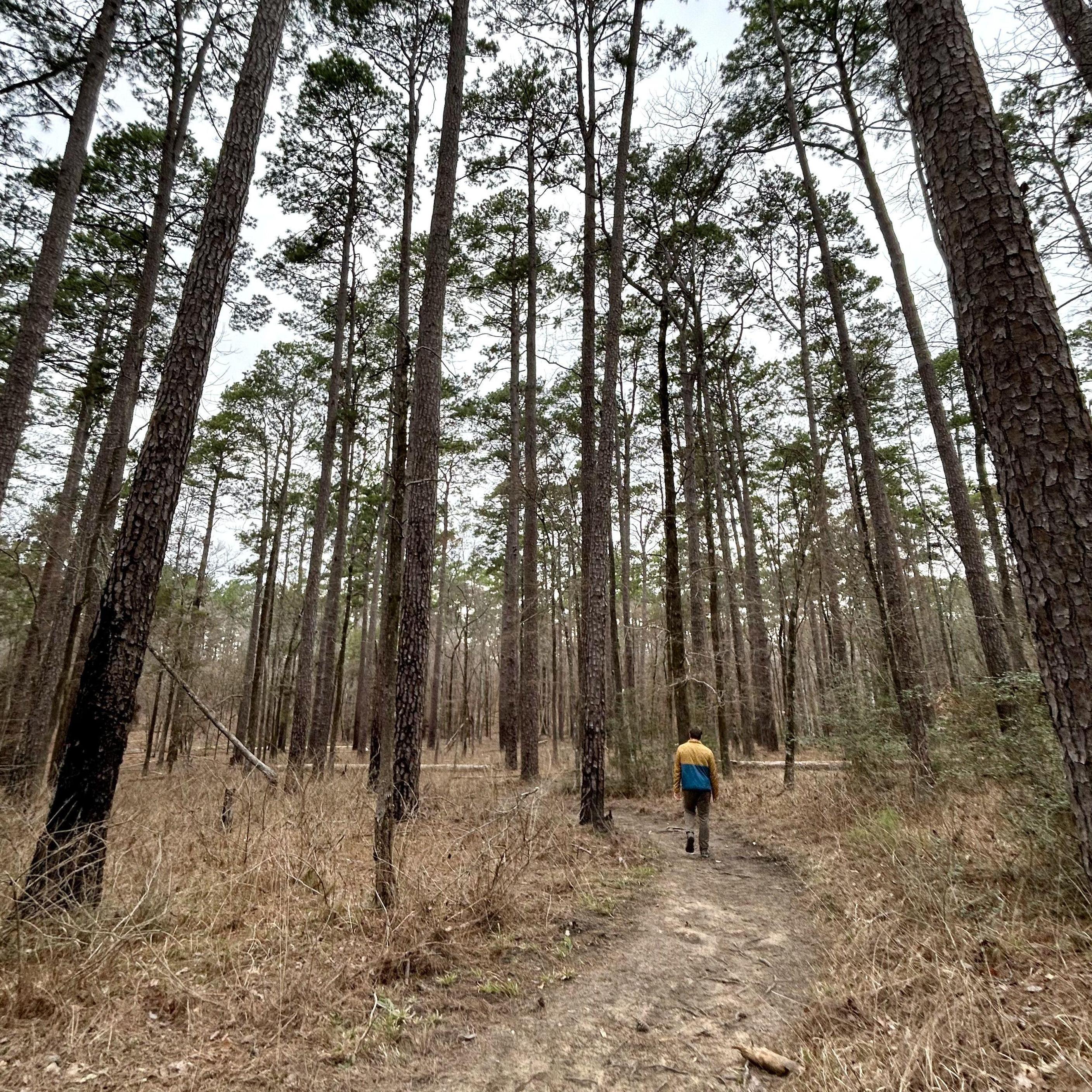 Kylee's happy place... hiking with Ben