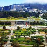 California Academy of Sciences