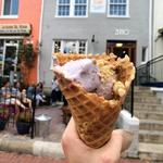 Mount Desert Island Ice Cream