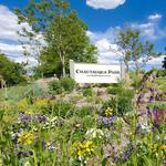 Chautauqua Park