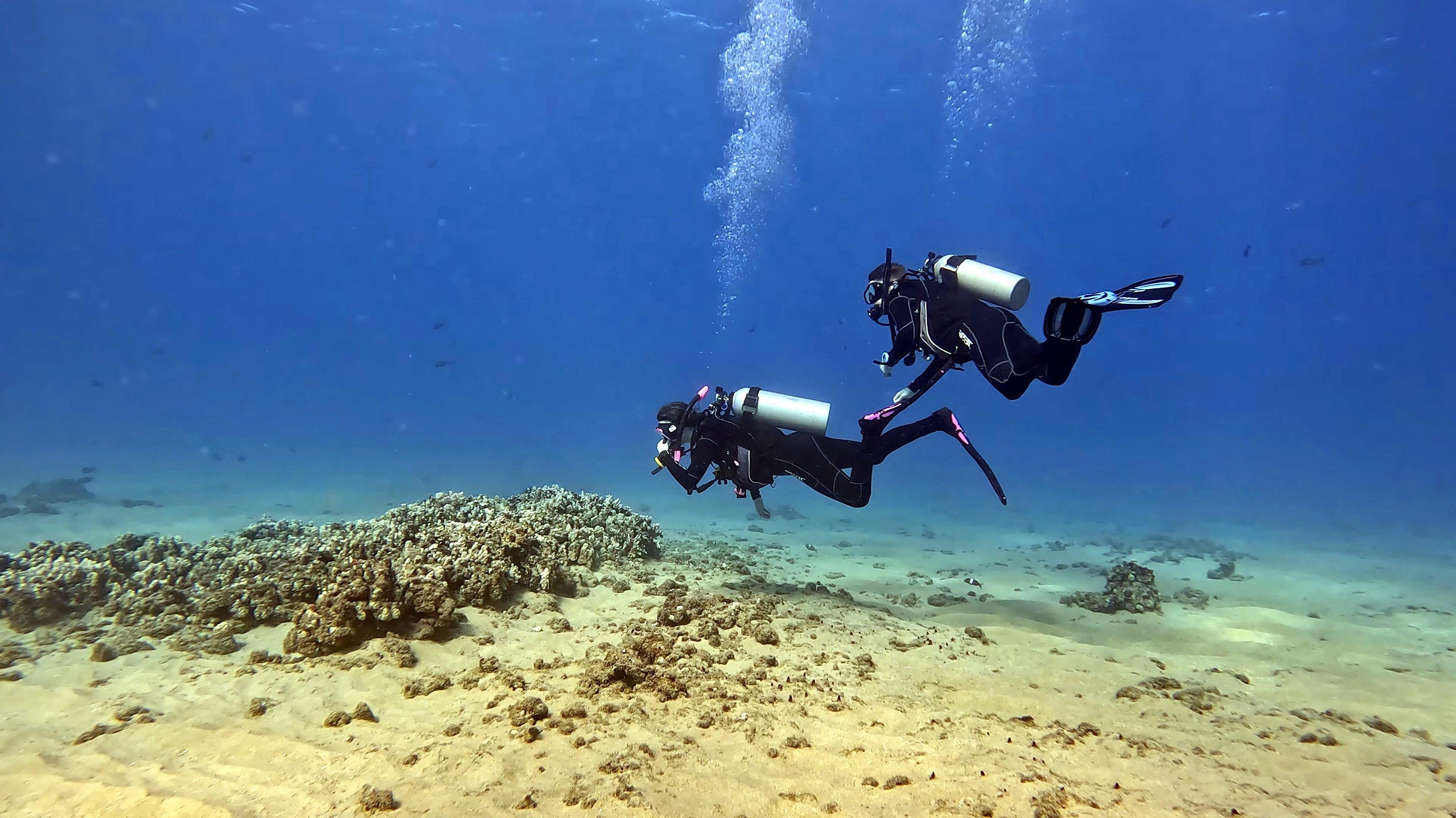 The Wedding Website of Jillian Carnie and Cameron Spring