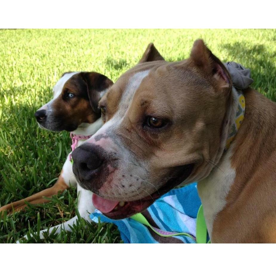 Our girls 🥰