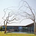 Modern Art Museum of Fort Worth