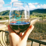 Temecula Wineries