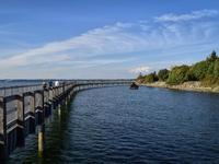 Bellingham