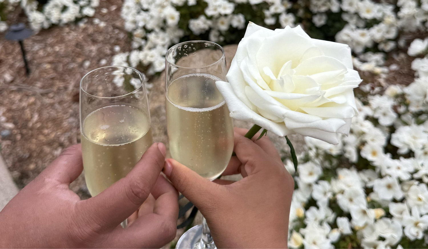 The Wedding Website of Brayan Coahuilas and Kenia Aguilar