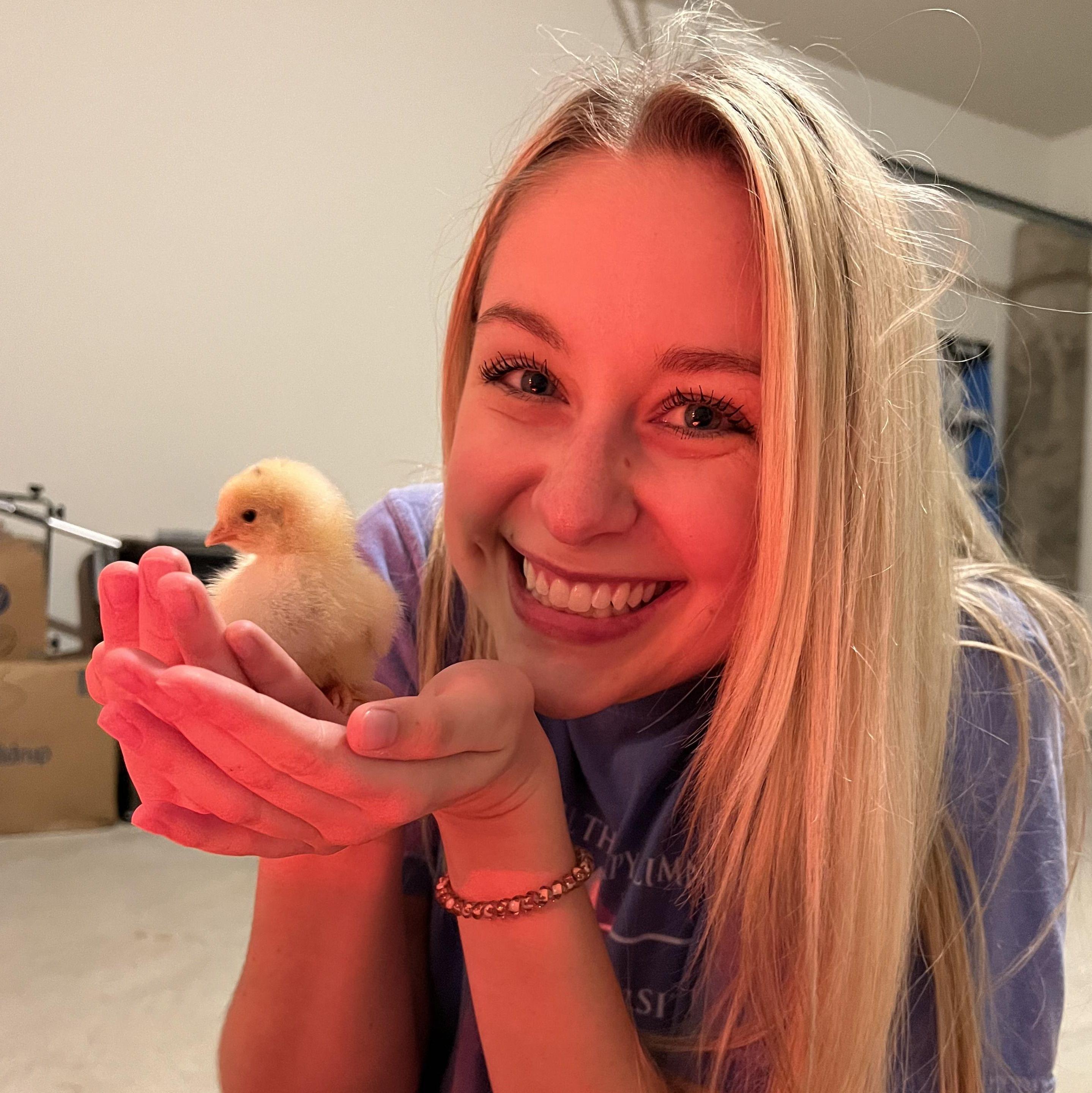The day we got our first set of baby chicks! March 2023