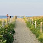 Plum Island
