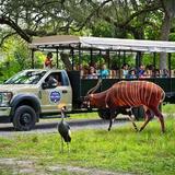 ZooTampa at Lowry Park