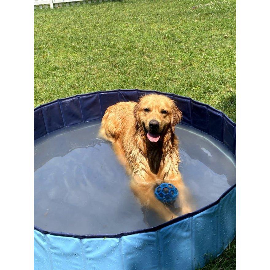 Pool time