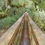 Myakka River State Park