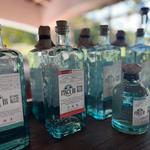 Tequila Tasting and Tour at Puerto Vallarta Distillery