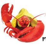 Newport Lobster Shack- Live Market