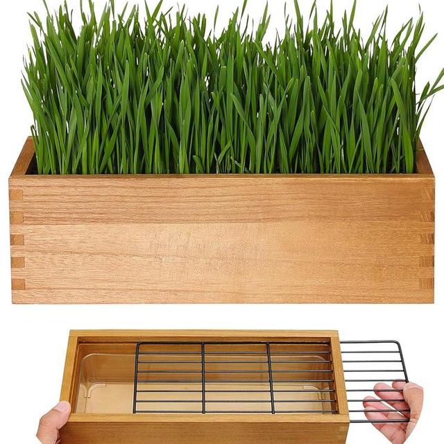 BENPIN Wooden Cat Grass Planter (no Seeds Included) with Potting Soil Disks, Anti-Digging Grid and Removable Plastic Liner, Wheat Grass Growing Pot, Cat Grass Kit for Indoor Cats Pets (Aged Yellow)