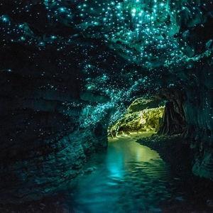 Waitomo Glowworm Caves