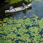 For Some Summer Sun: Canoe at University of Washington