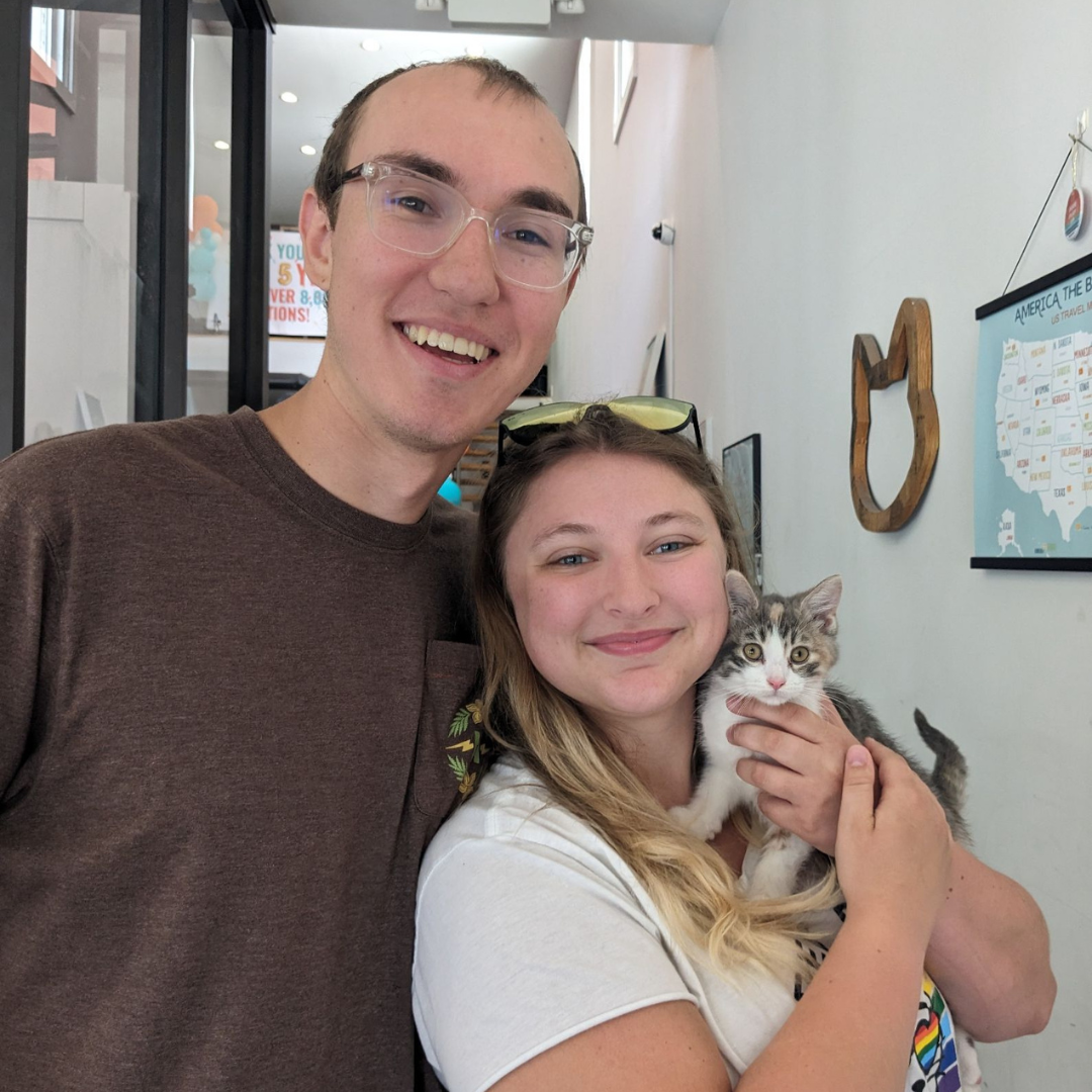 Adoption of our second cat, Smores