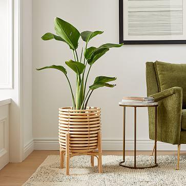Adobe Rattan Planter