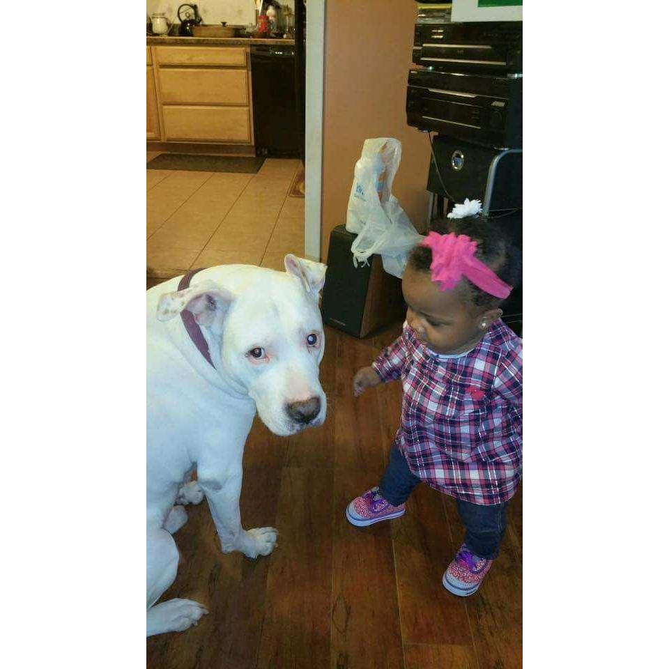 2015 at Mama and Pops House