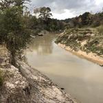 100 Acre Wood Preserve