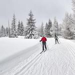 Cross Country Skiiing