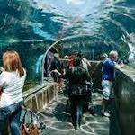 Saint Louis Zoo
