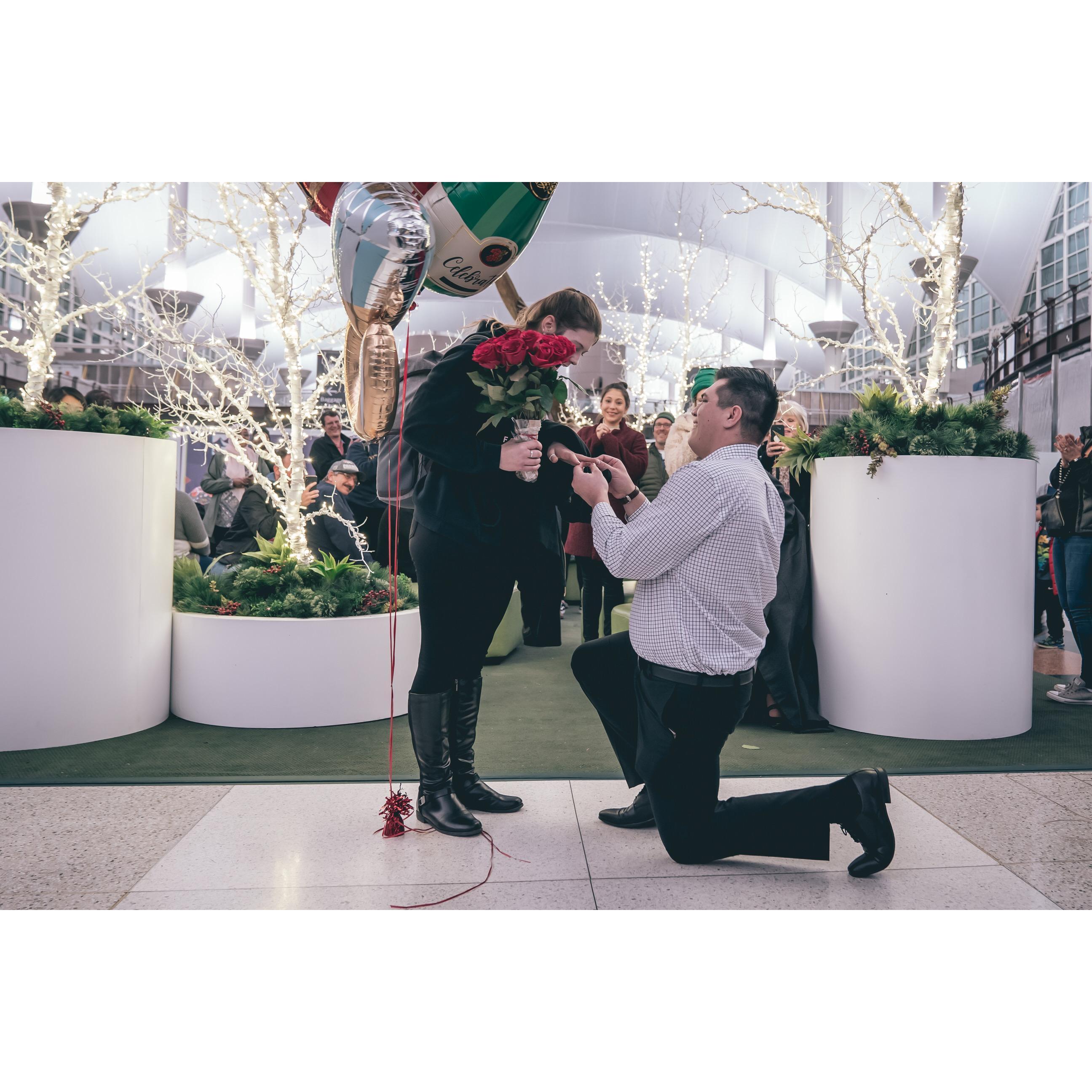 The Proposal, 12/18/18