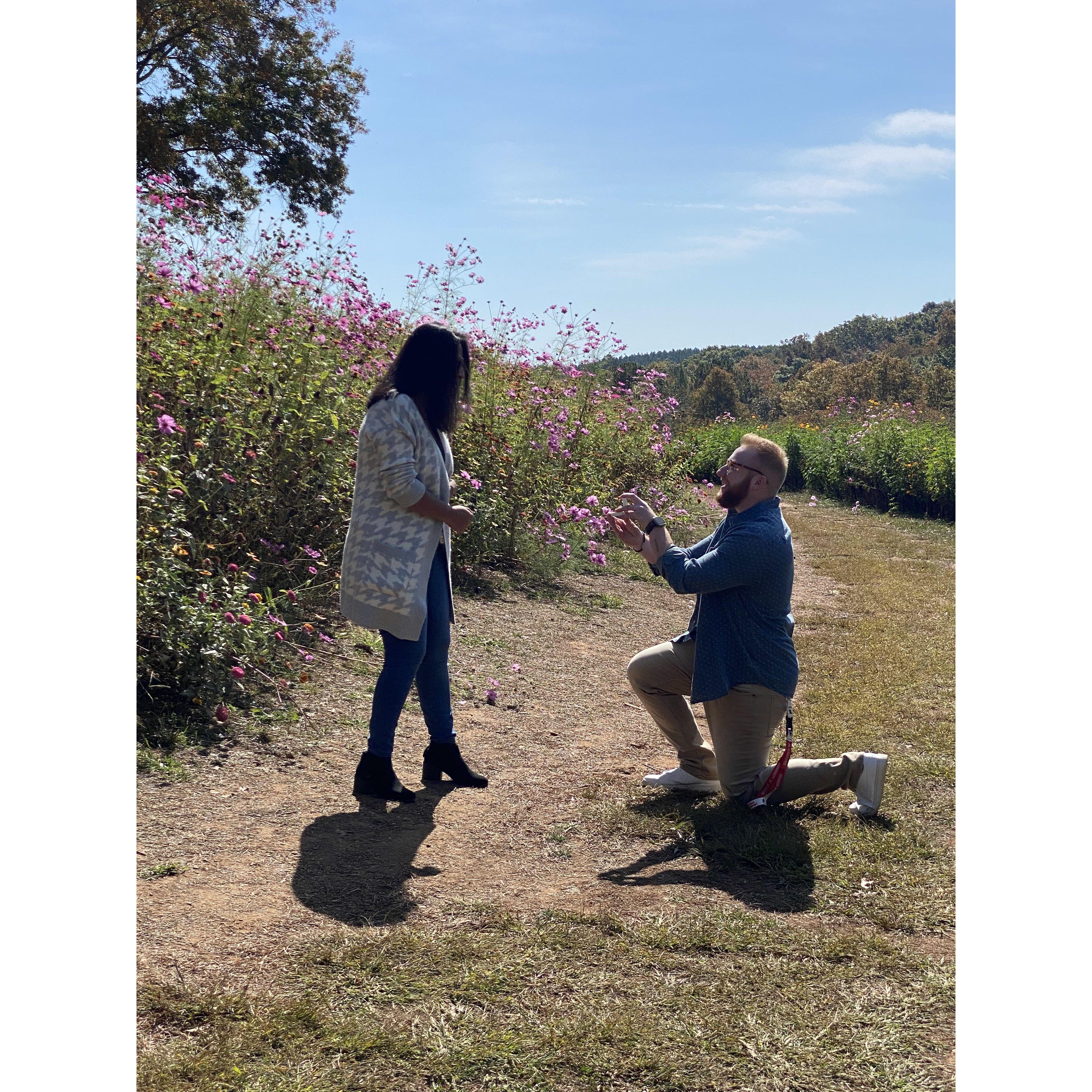 Proposing