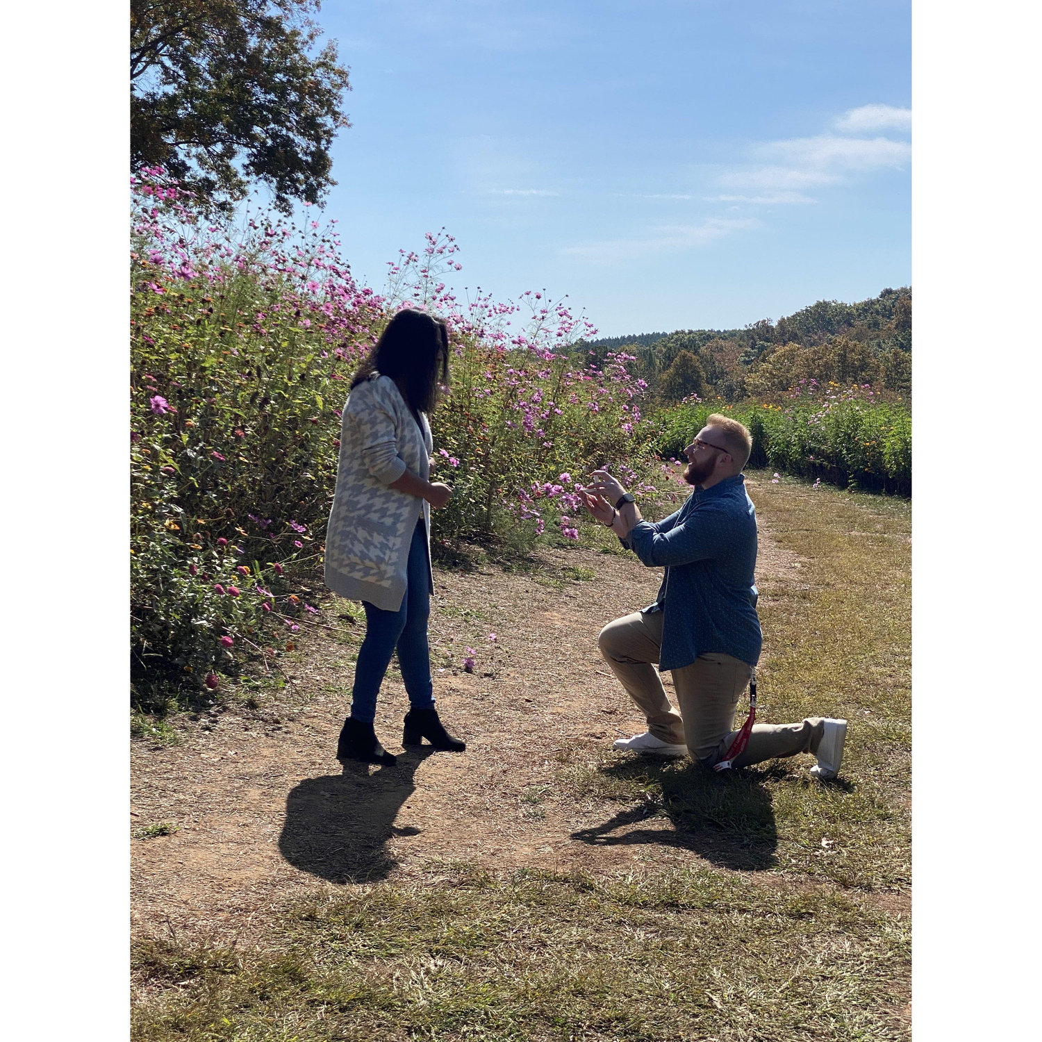 Proposing