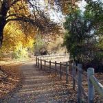 Cozy Dell Trailhead