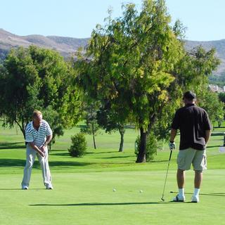 Golf Lesson with a PGA Pro: 1 Hour Private Lesson for 1 - Los Angeles