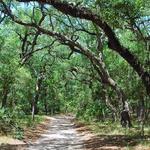 Guana State Park