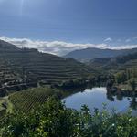 Douro